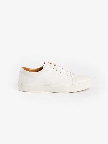 Casual Solid Sneakers