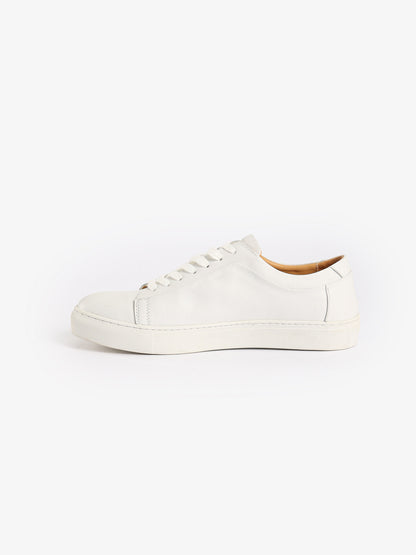 Casual Solid Sneakers