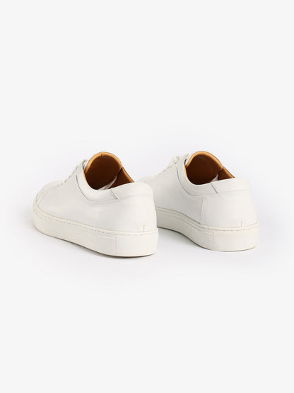 Casual Solid Sneakers