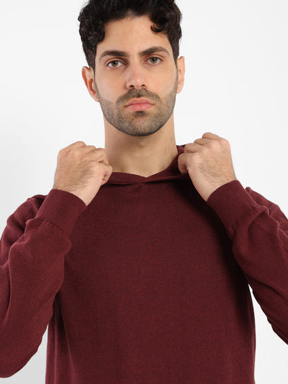 Hoodie Knit Sweater